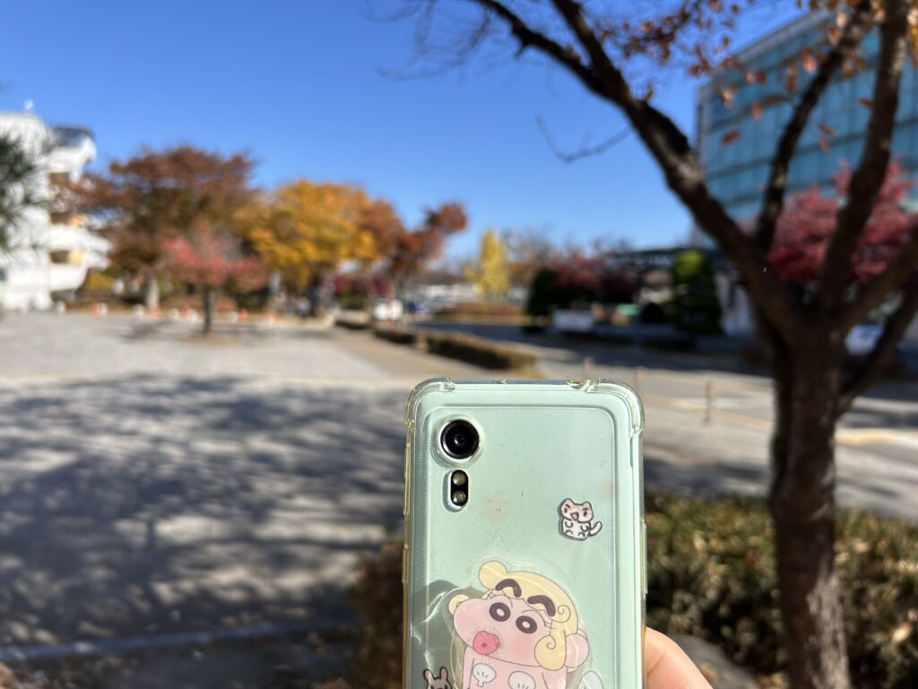 Retrieve cellular phone